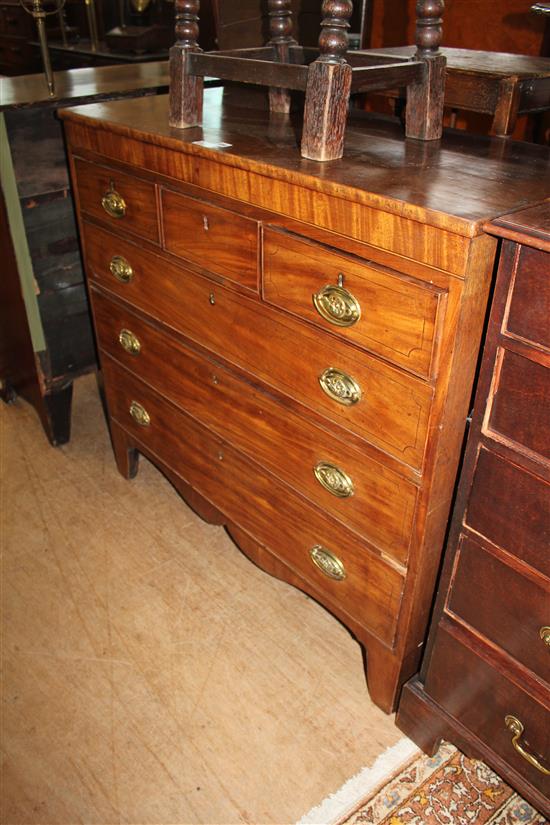 19th century mahogany chest of drawers